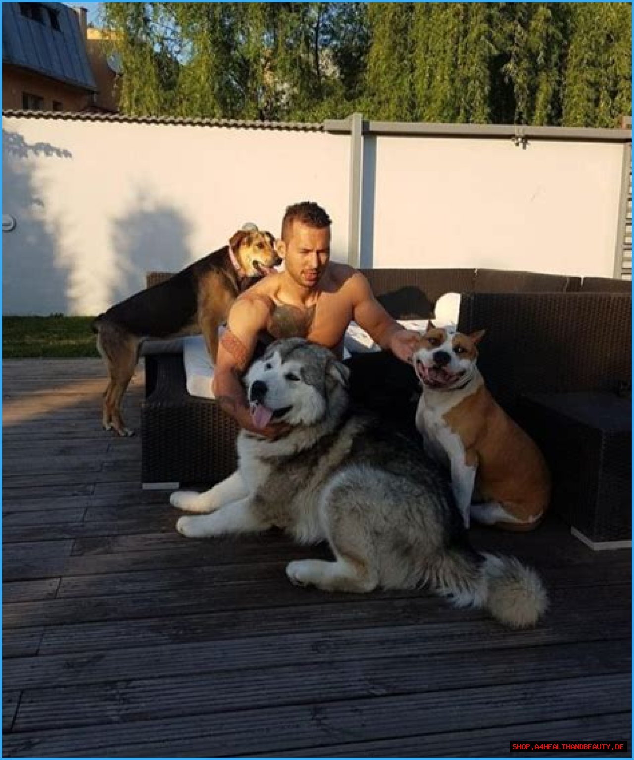 Andrew Tate Pets - Celebrity Pets