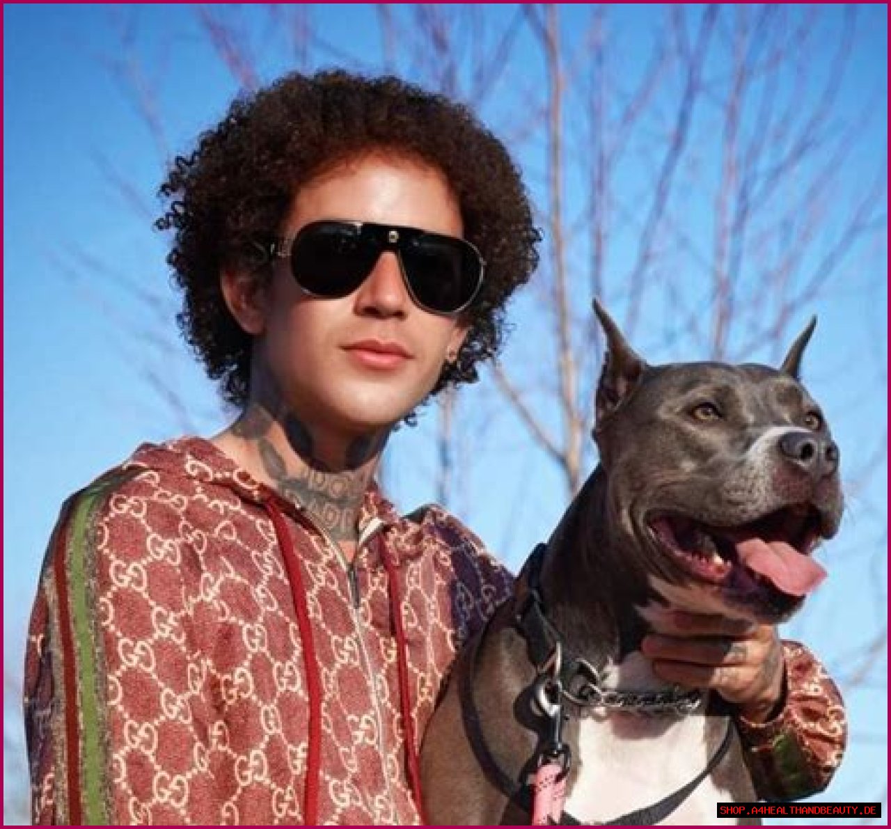 Augusto Deoliveira (Dog Daddy) Pets