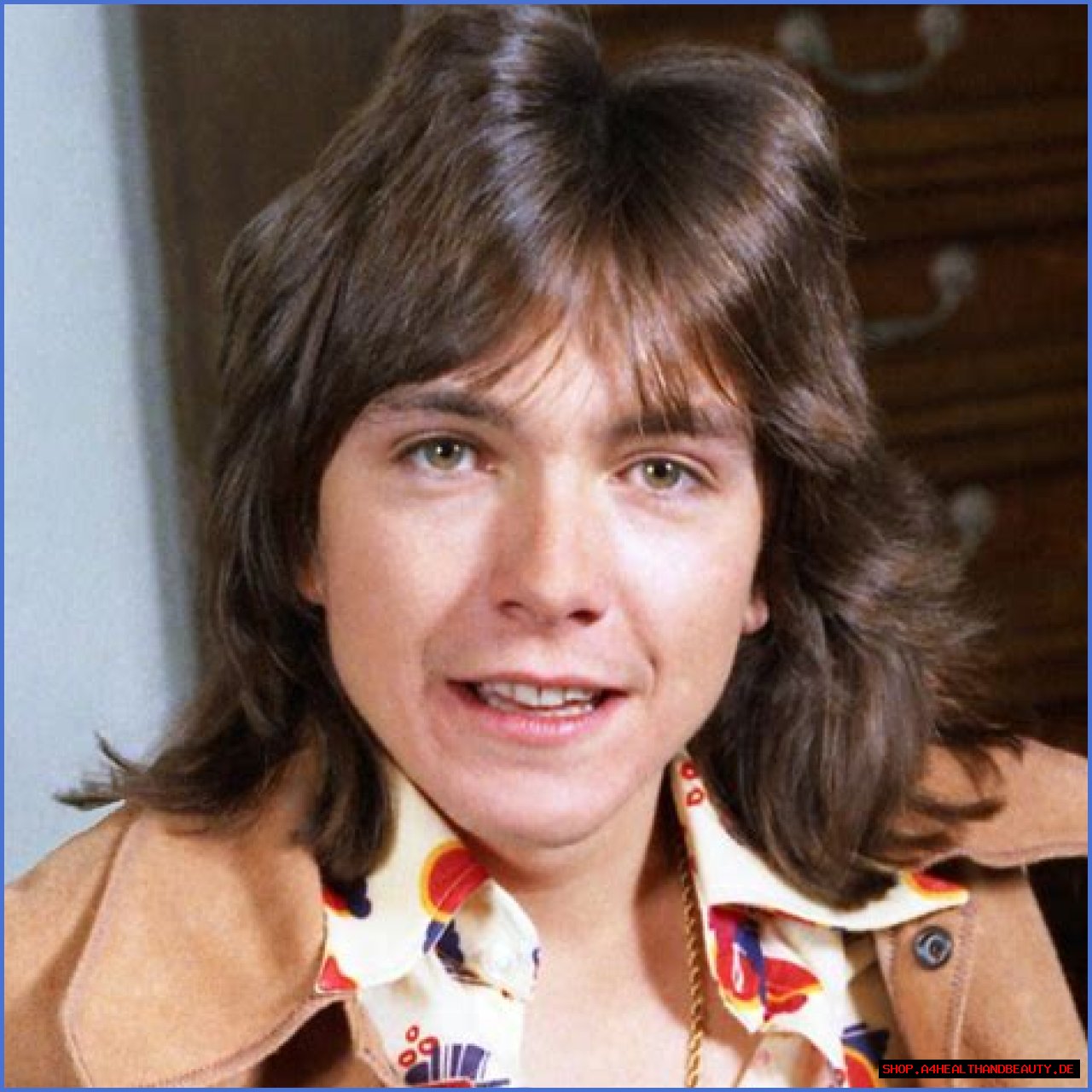 David Cassidy - Bio, Age, net worth, height, Wiki, Facts and Family