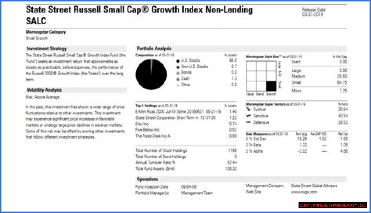 DELAWARE VIP SMALL CAP VALUE SERIES STANDARD CLASS