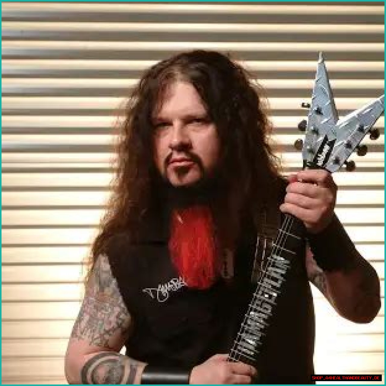 Dimebag Darrell Net Worth, Income, Salary, Earnings, Biography