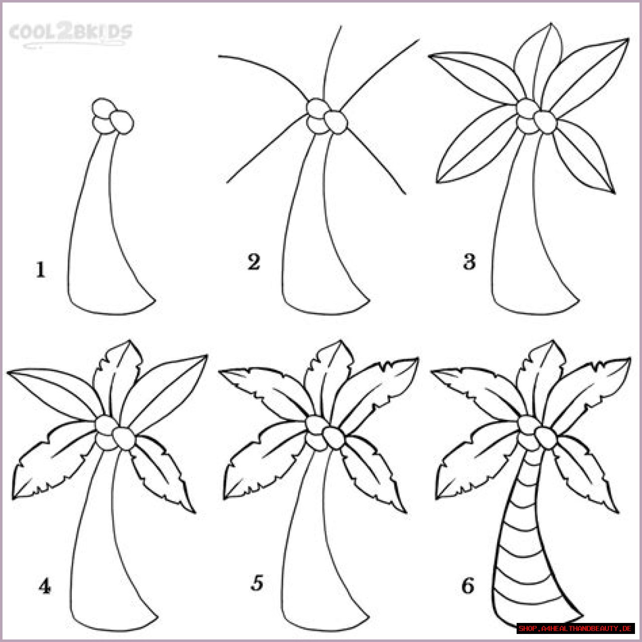 How to Draw a Palm Tree