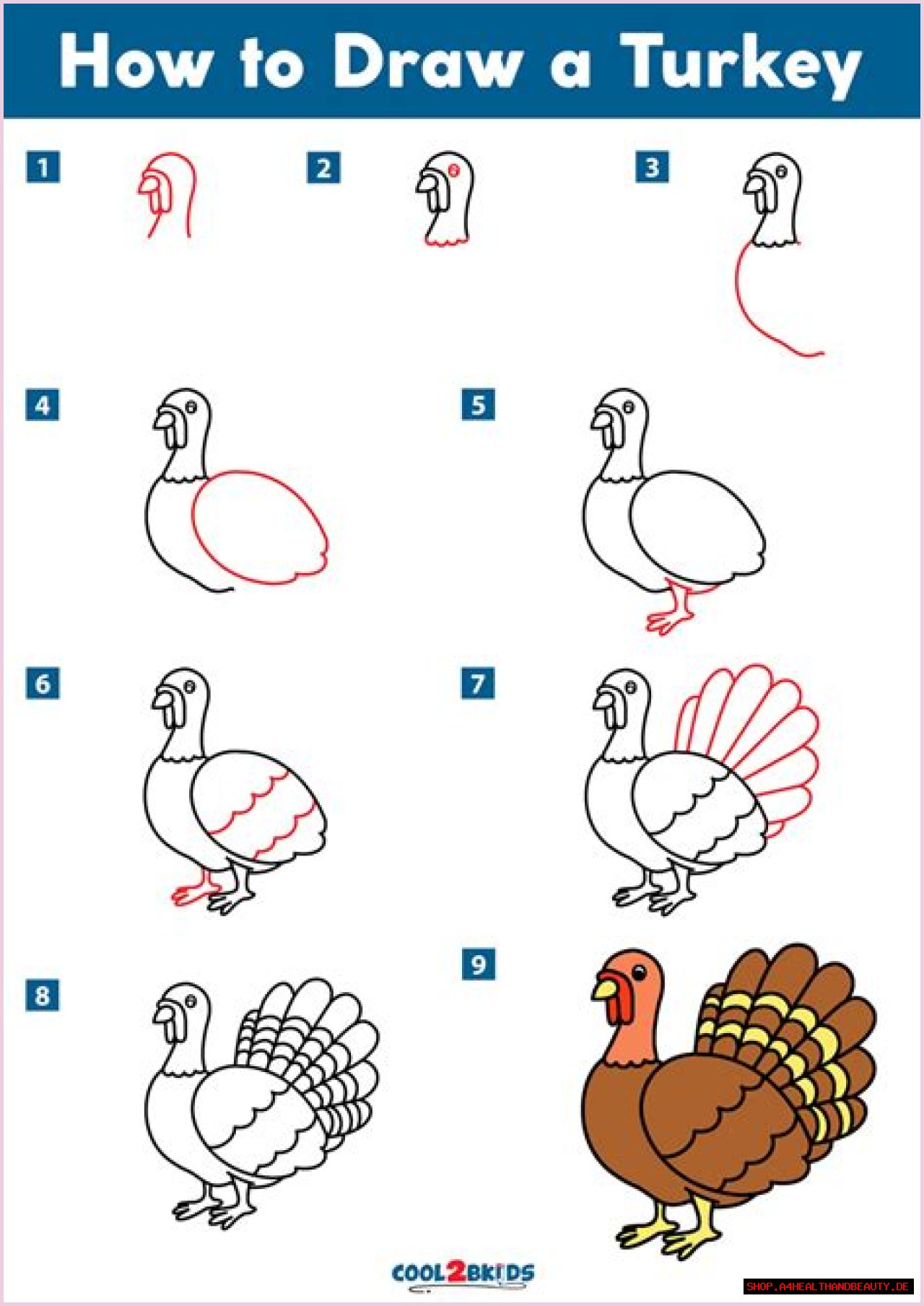How to Draw a Turkey