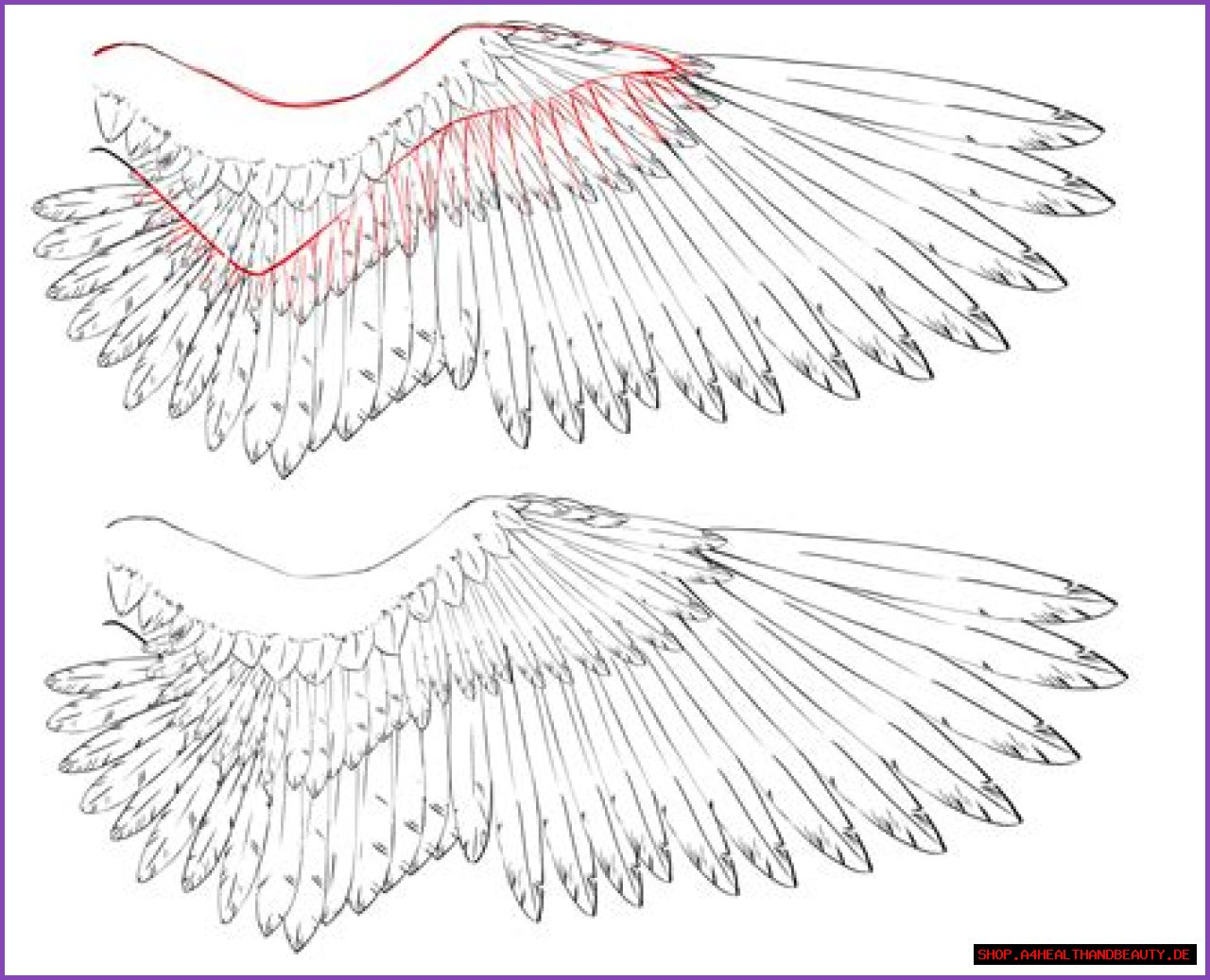 How to Draw Wings - Creating an Easy and Realistic Wings Sketch