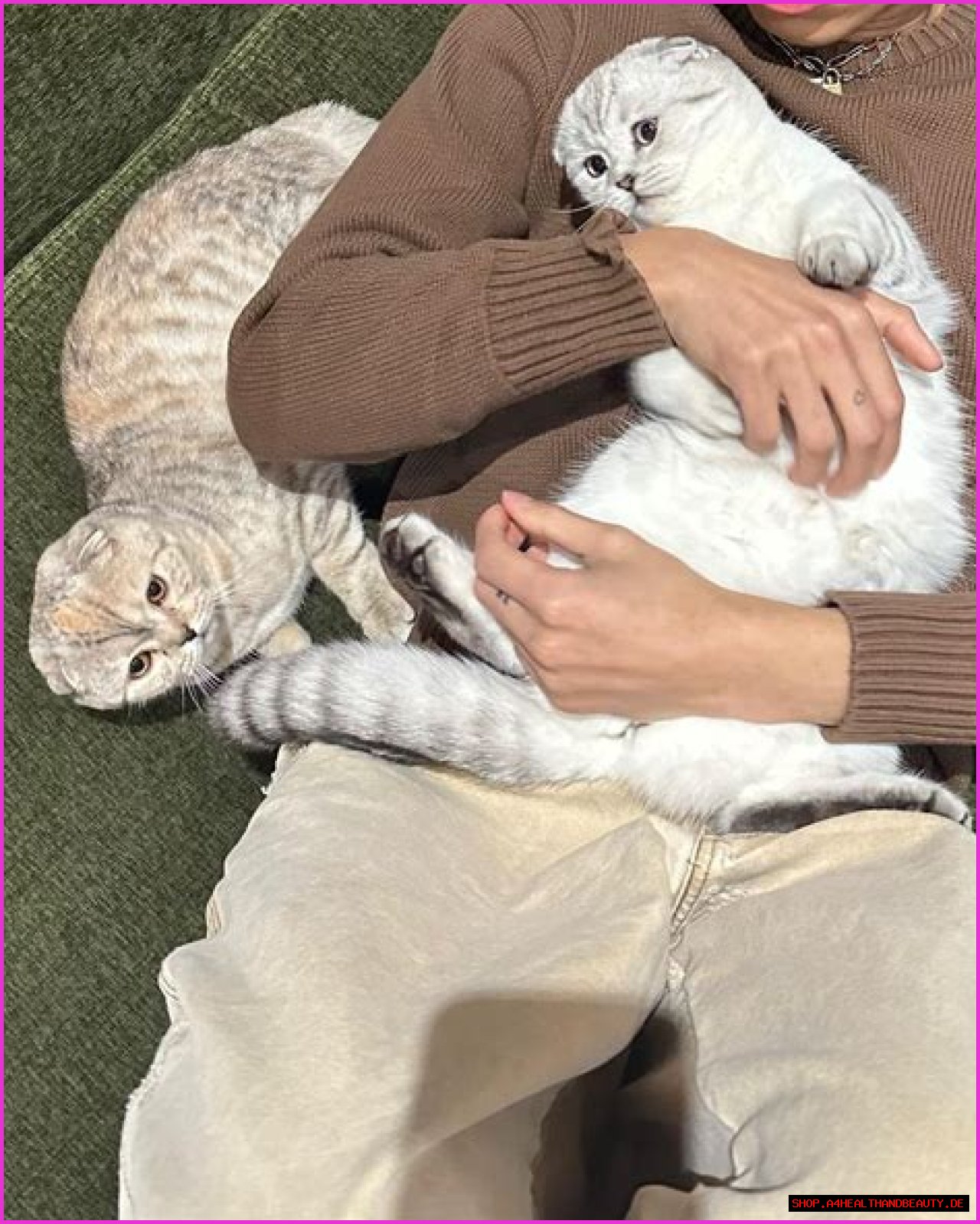 Larray (Larri Merritt) Pets - Celebrity Pets