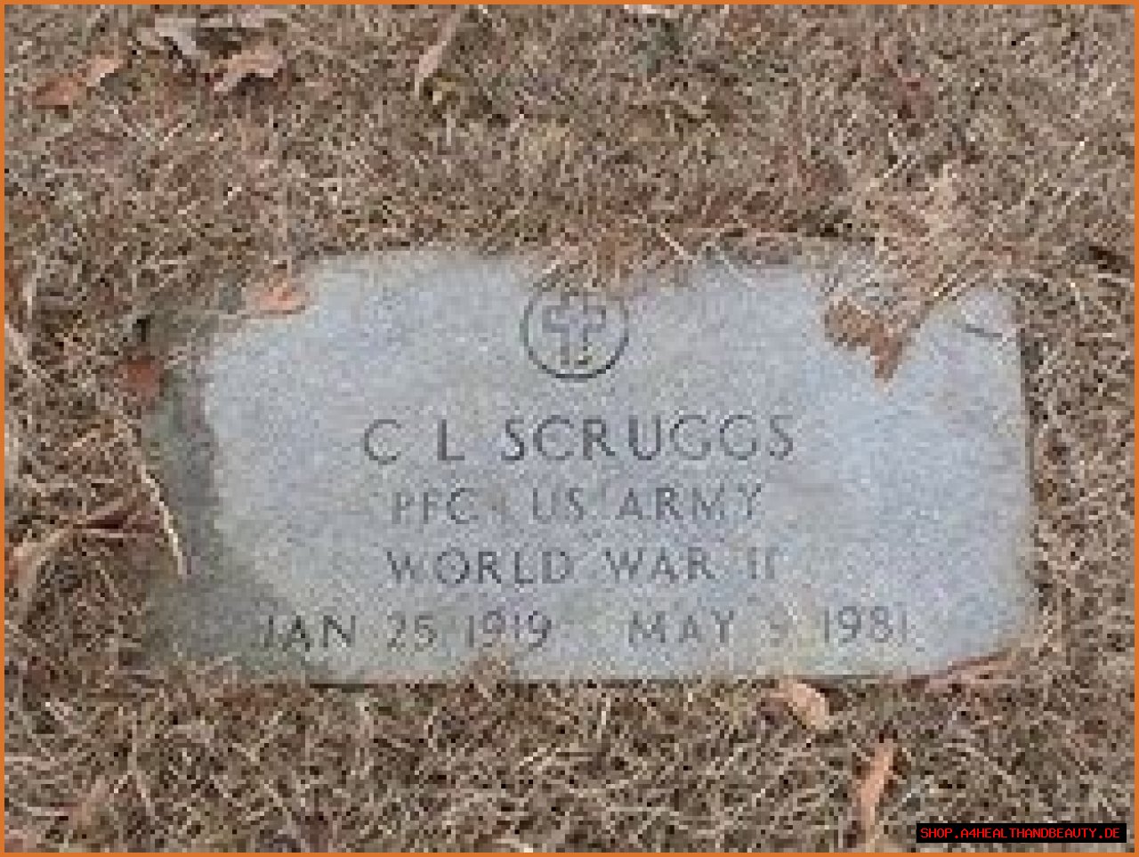 Uncovering The Enigma Of Lee Scruggs