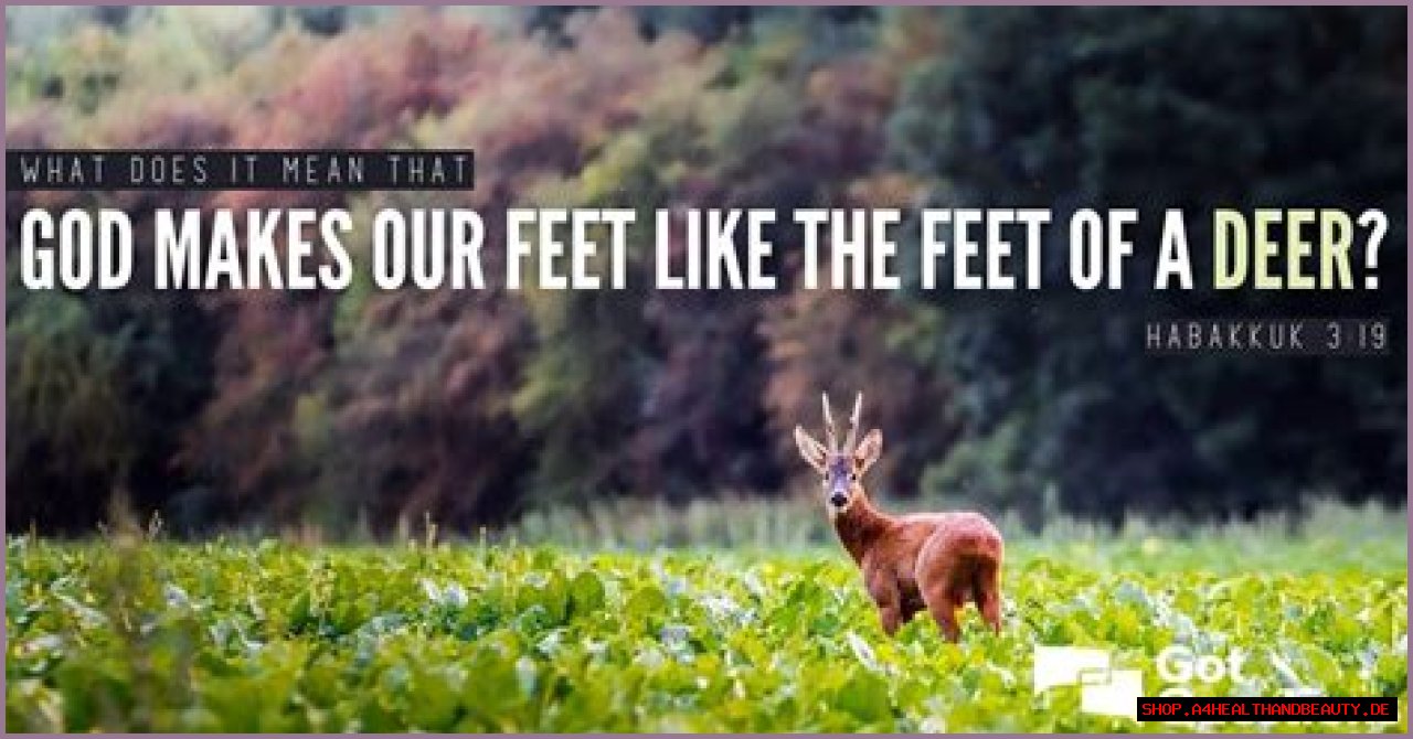 What does it mean that God makes our feet like the feet of a deer (Habakkuk 3:19)?