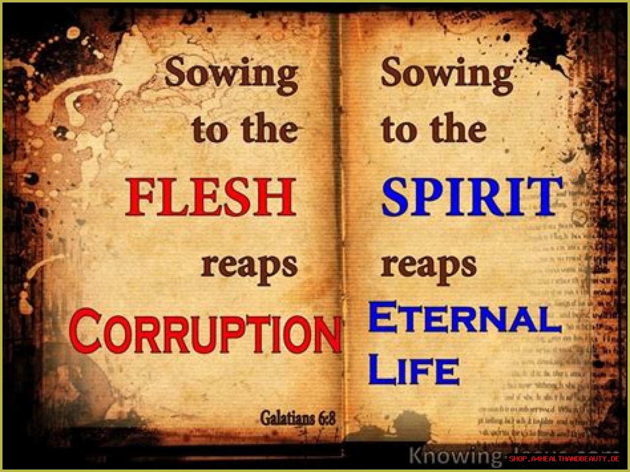 What does it mean to sow to the Spirit (Galatians 6:8)?