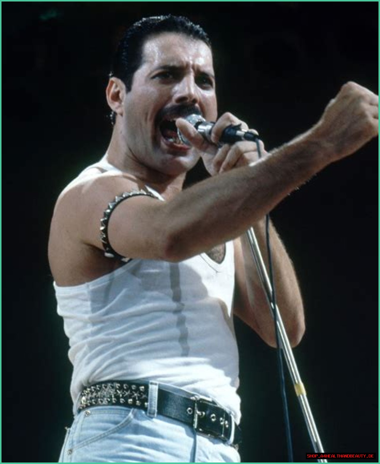 What Ethnicity Was Freddie Mercury?