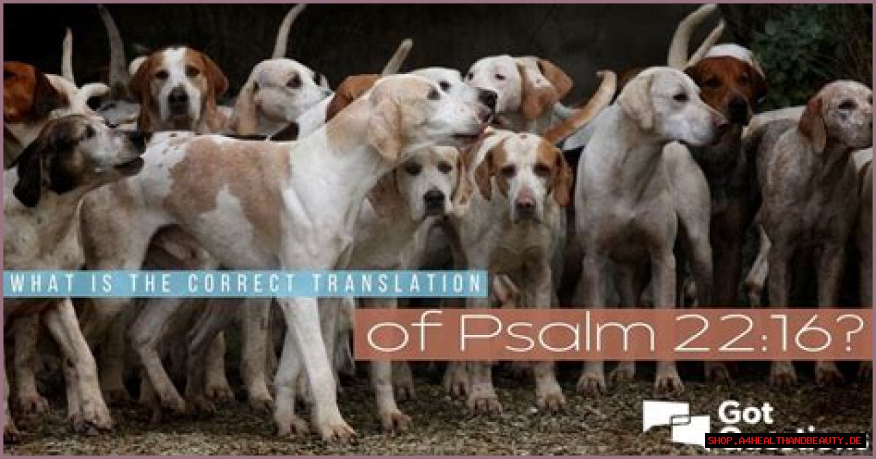 What is the correct translation of Psalm 22:16?