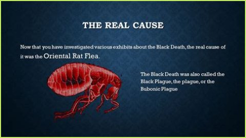 What Really Caused the Black Death: Anthrax or Celestial Bodies?