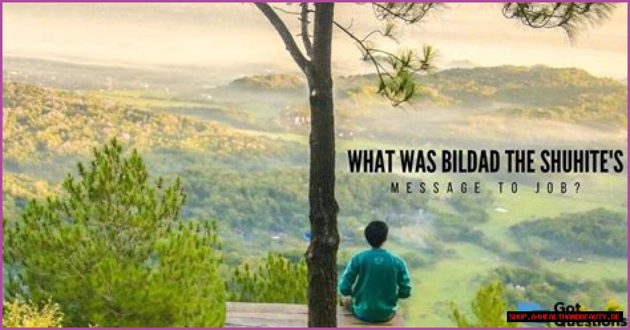 What was Bildad the Shuhite’s message to Job?